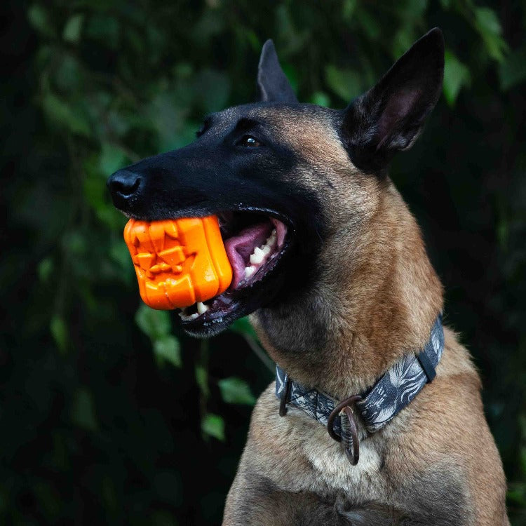 Jack O' Lantern Halloween dog toy – view 5