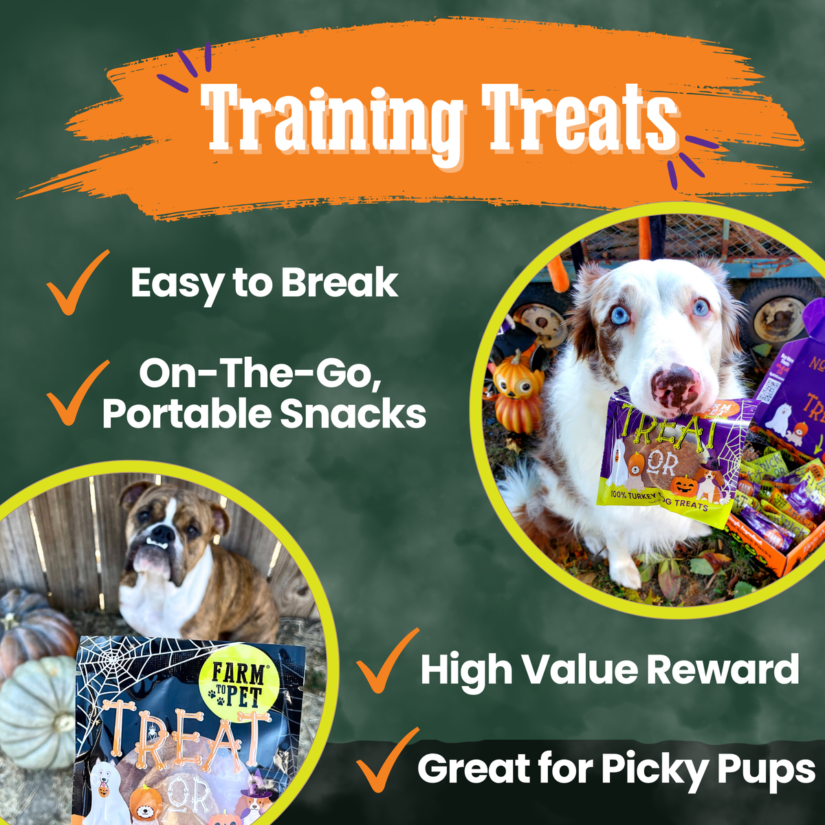 Single-ingredient Halloween dog training treats