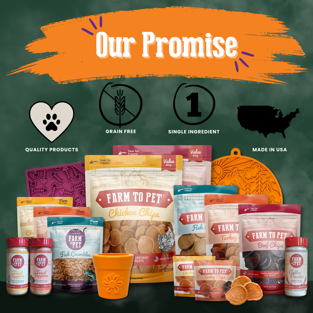 Heart-healthy single-ingredient Halloween dog treats – view 2