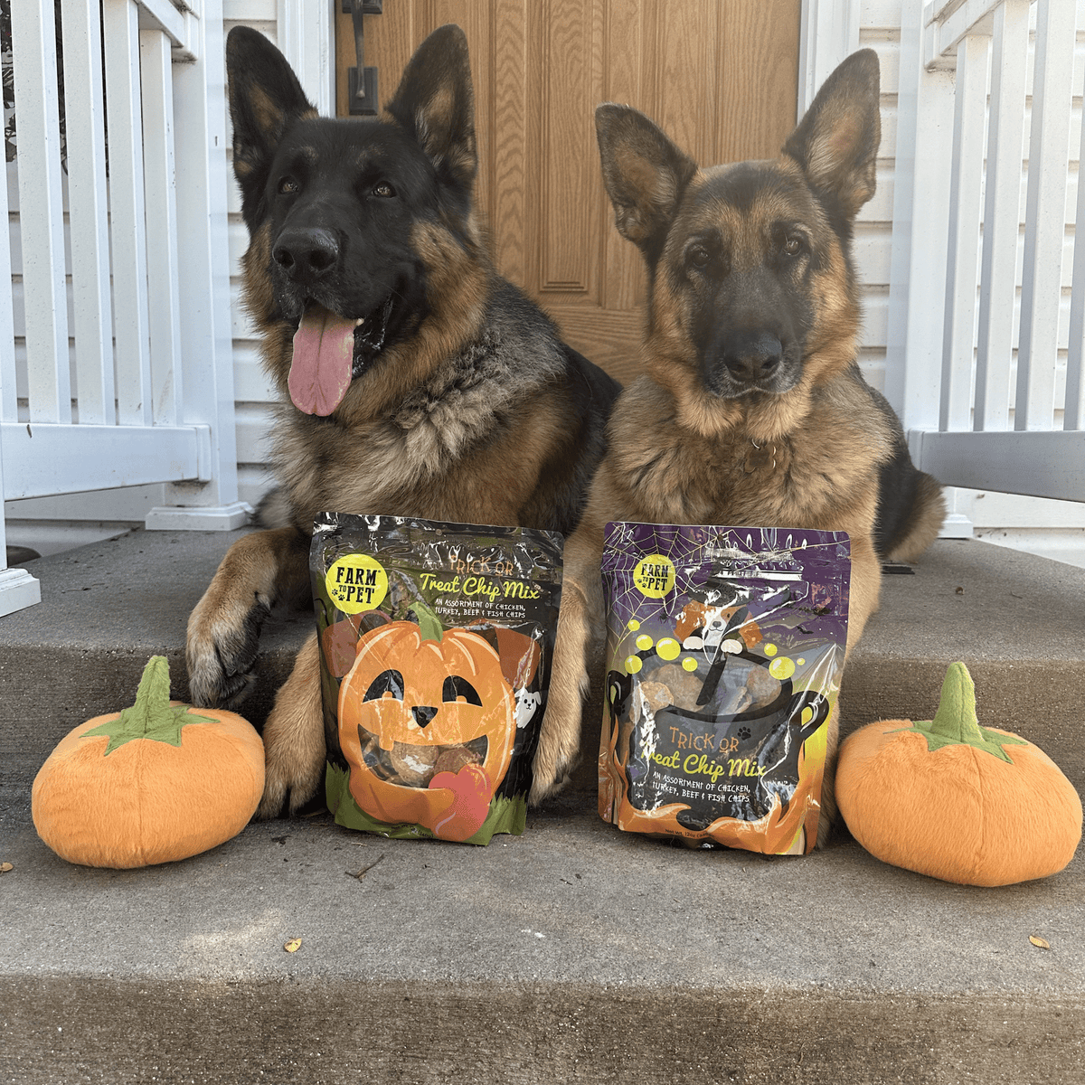 Trick or Treat Chip Mix Halloween dog treats