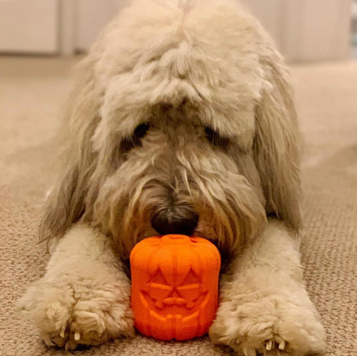 Jack O' Lantern Halloween dog toy – view 10