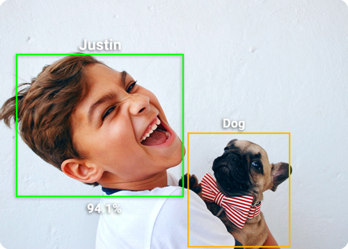 Apollo white pet monitoring camera with AI detection and night vision