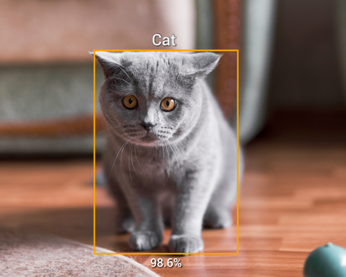 Apollo pet camera – view 2