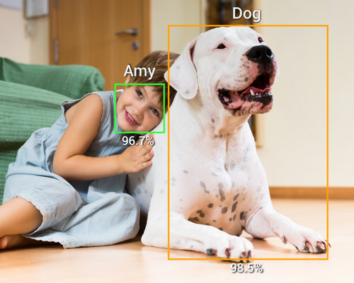 Apollo pet camera – view 6