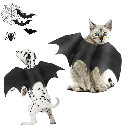Bat wings Halloween costume for cats and dogs