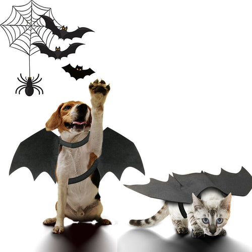 Pet bat wings Halloween costume – view 3