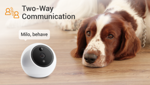 Apollo pet camera – view 5