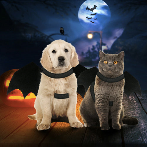 Pet bat wings Halloween costume – view 2