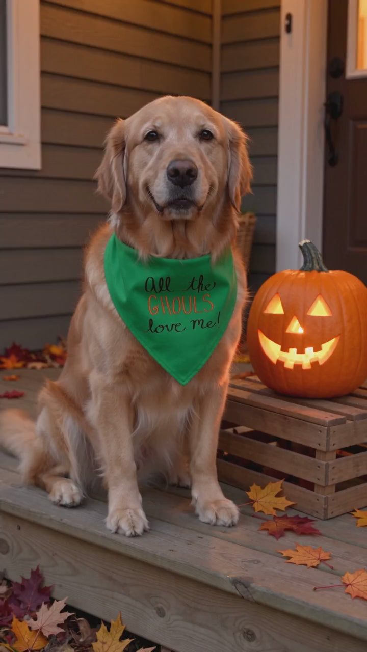 Dog wearing the All The Ghouls Love Me Halloween bandana