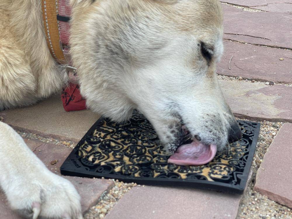 SodaPup Zombie eMat enrichment licking mat in black